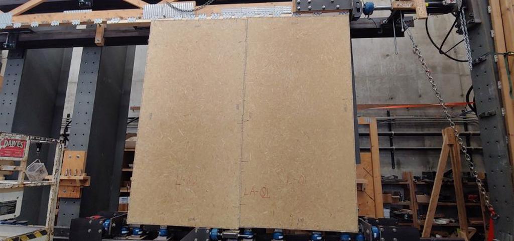 Solid structural panels using a fast-growing, perennial grass Solid structural panels using a fast-growing, perennial grass